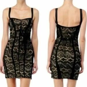 rag & bone Black and Tan Lace Mini Dress